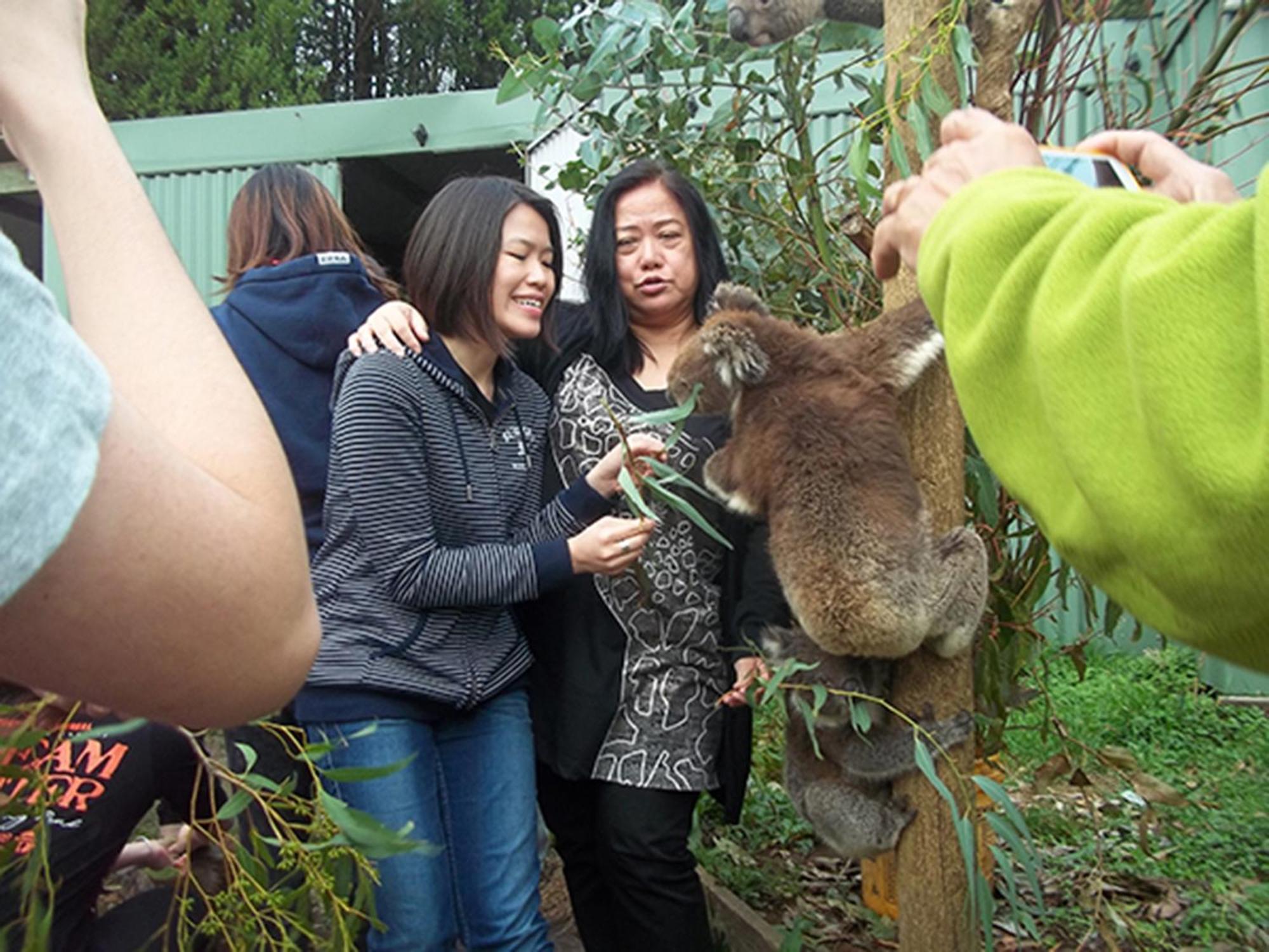 Fauna Australia Wildlife Retreat Lavers Hill Exterior photo
