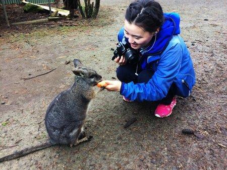 Fauna Australia Wildlife Retreat Lavers Hill Exterior photo
